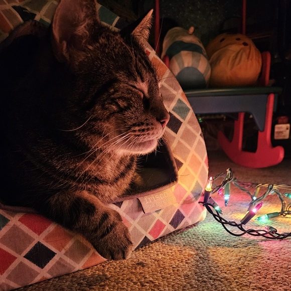 Live Show Notification 💜💎💜 - Picture 5 of 7